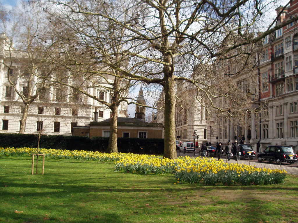 St James Park London spring