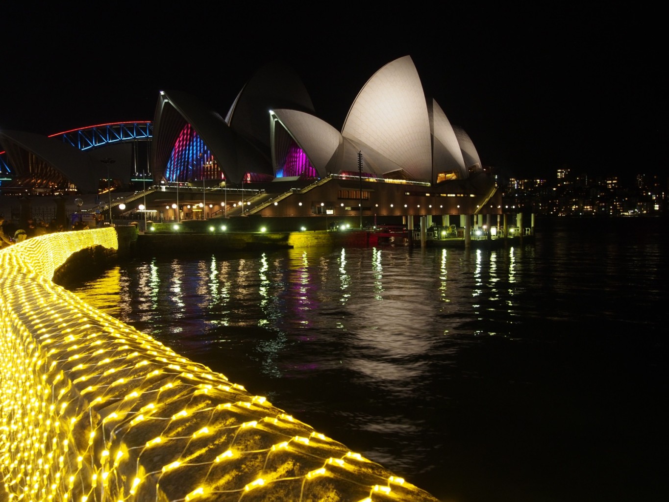 Botanical Gardens Wall lit up for Vivid