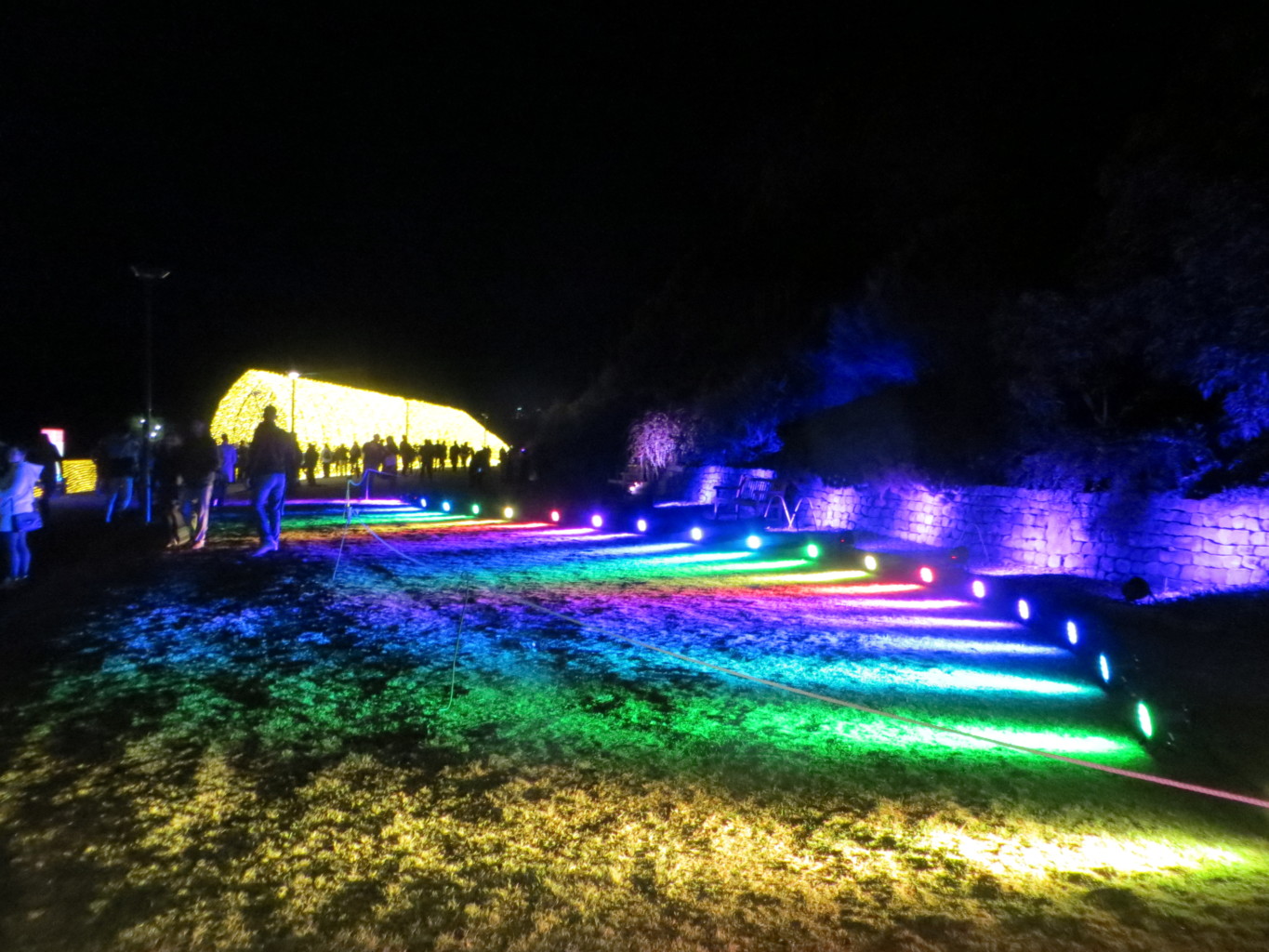 Rainbow Grass Botanical Gardens Vivid