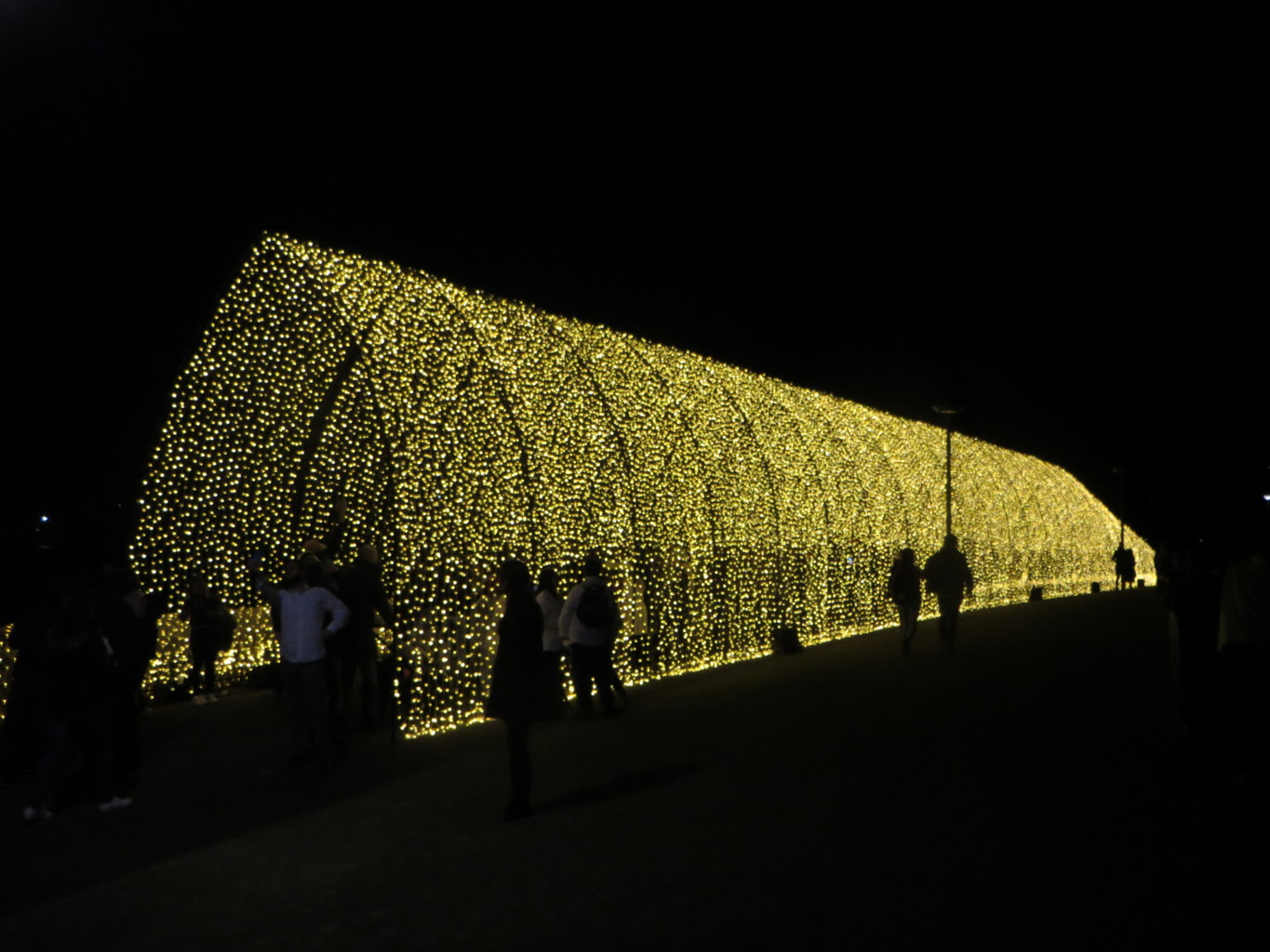 Cathedral of Lights Vivid Gardens