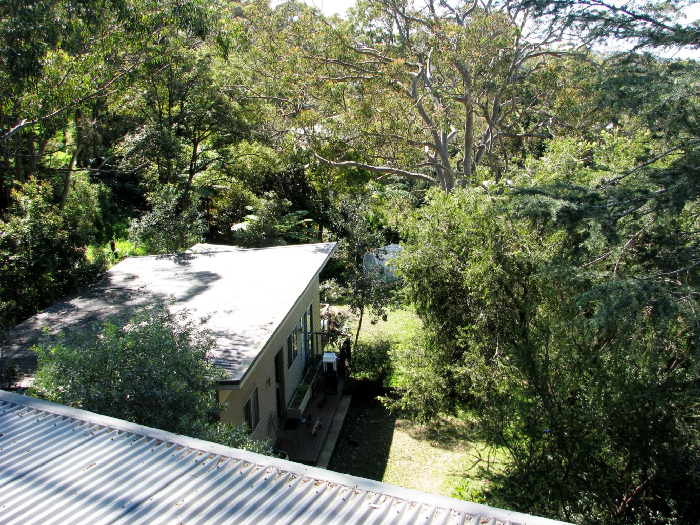 treehouse-granny-flat