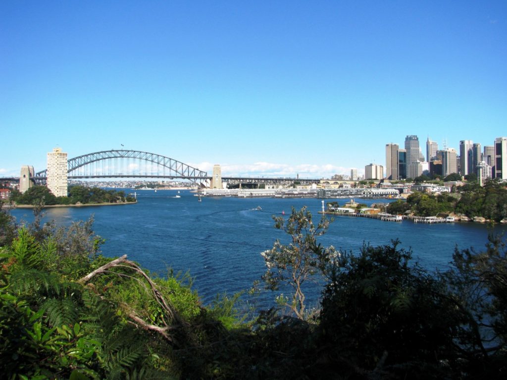 Balls Head Reserve Harbour View