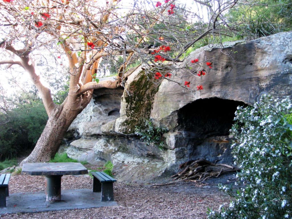 Balls Head Reserve Firepit