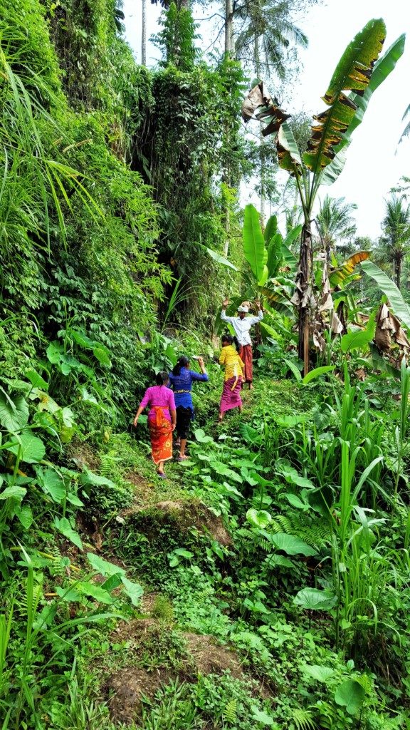 Colourful locals carrying water Bali