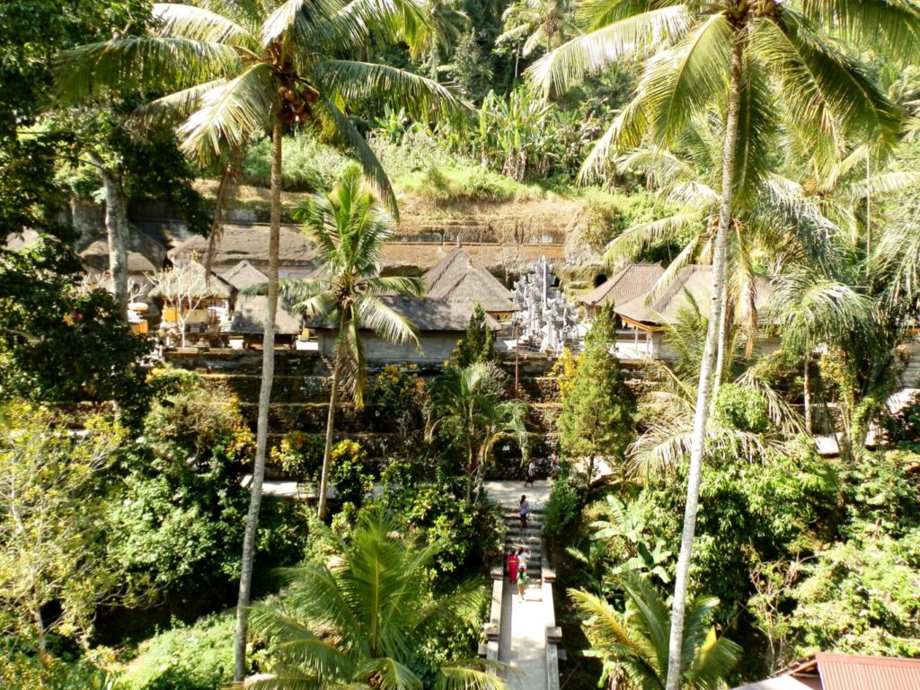 Bali Palms