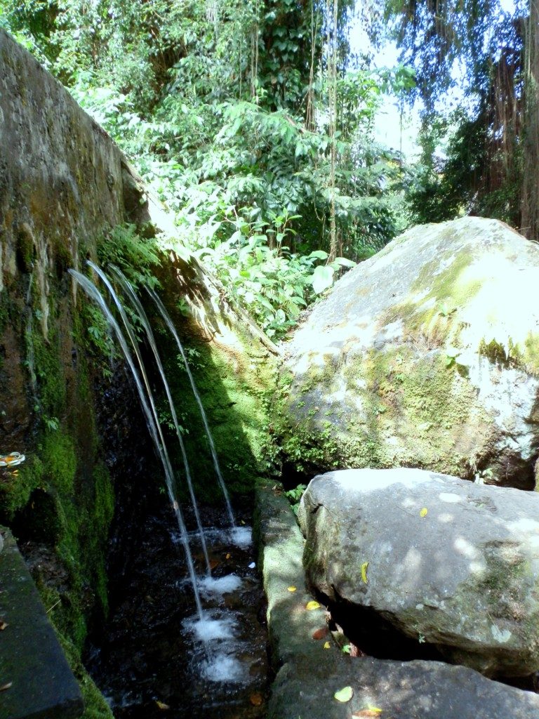 Temple Bali Water Blessing